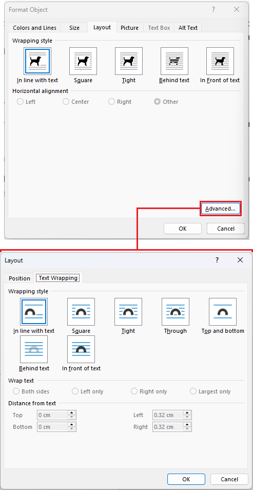 Format object wrap options and advanced options